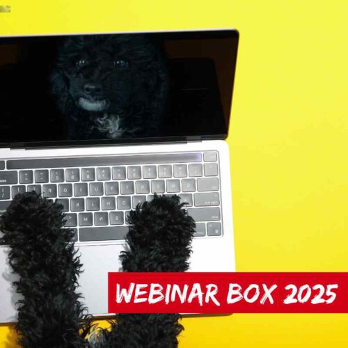 webinar hunde